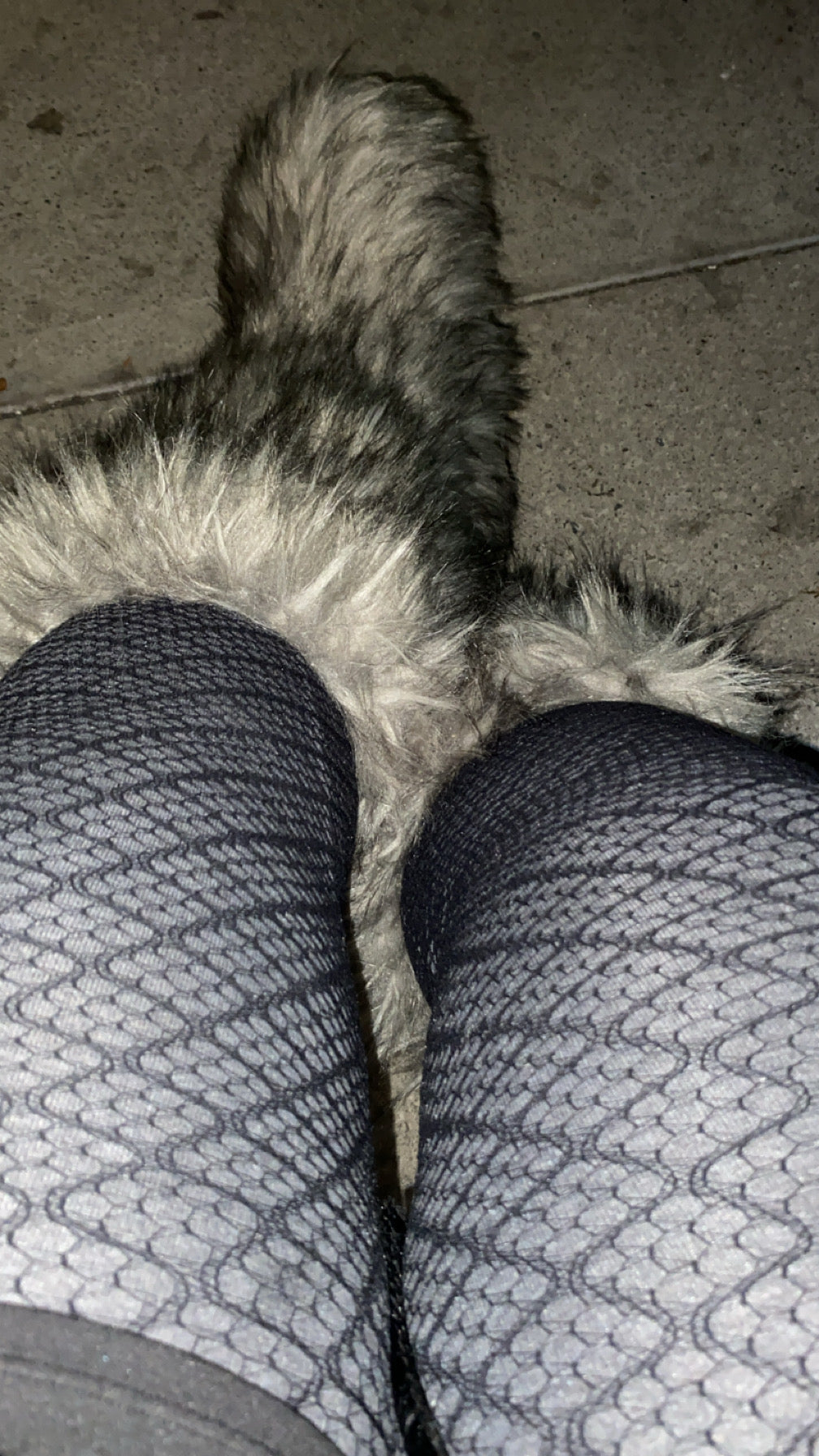 Gray fur knee high boots